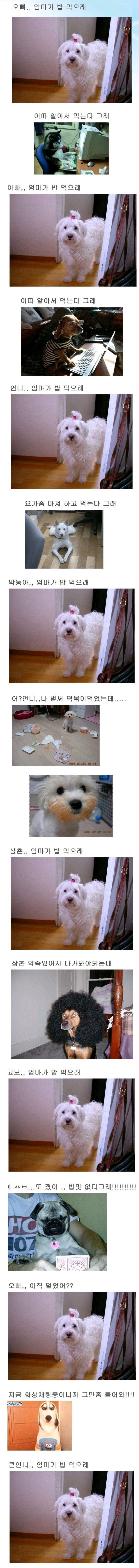 사용자 삽입 이미지