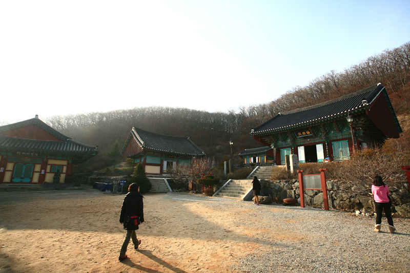 사용자 삽입 이미지