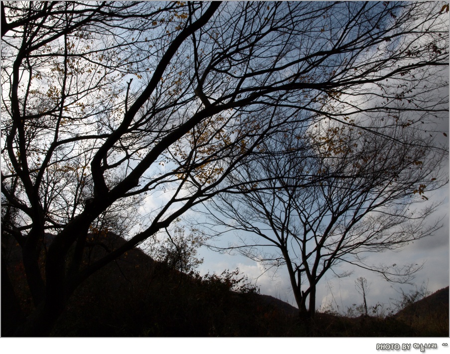 사용자 삽입 이미지