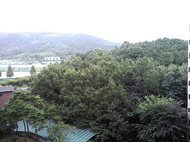 사용자 삽입 이미지