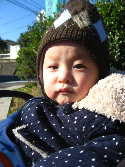 사용자 삽입 이미지
