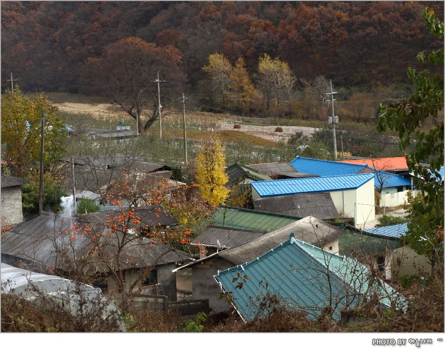 사용자 삽입 이미지