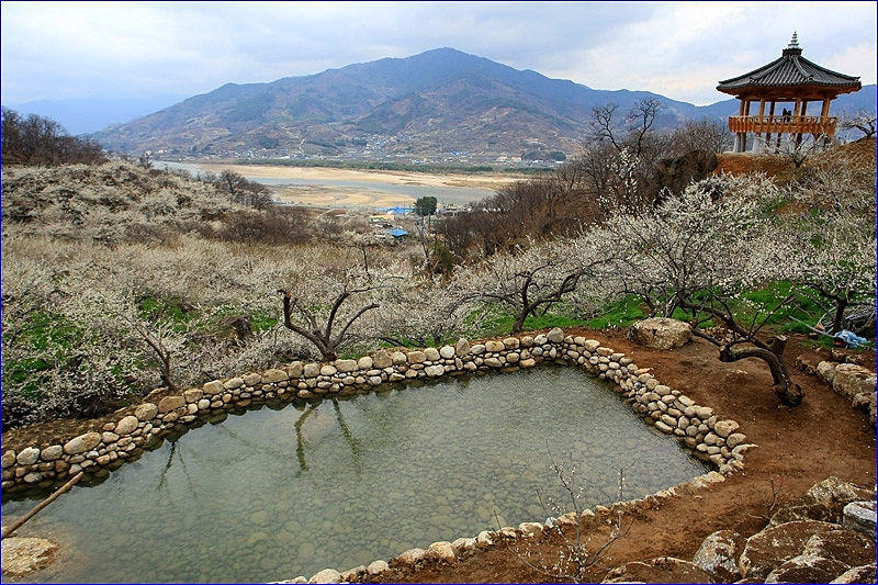 사용자 삽입 이미지