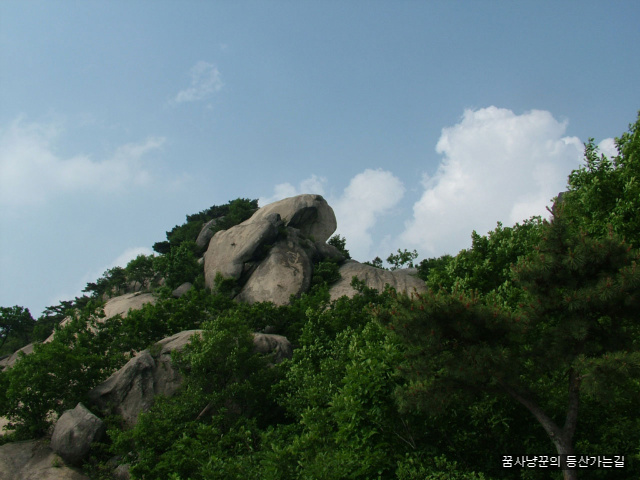 사용자 삽입 이미지