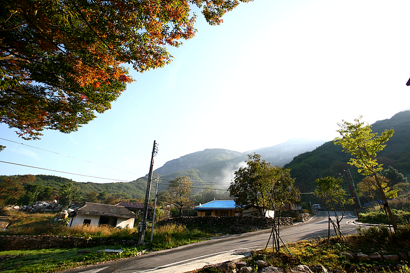 사용자 삽입 이미지