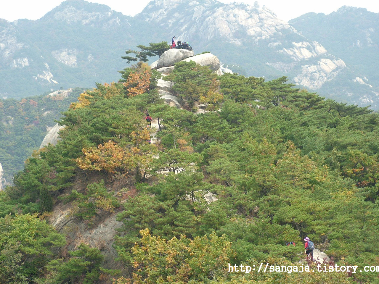 사용자 삽입 이미지