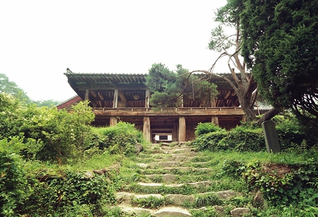 사용자 삽입 이미지