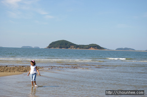 사용자 삽입 이미지