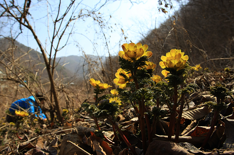 사용자 삽입 이미지