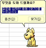 사용자 삽입 이미지