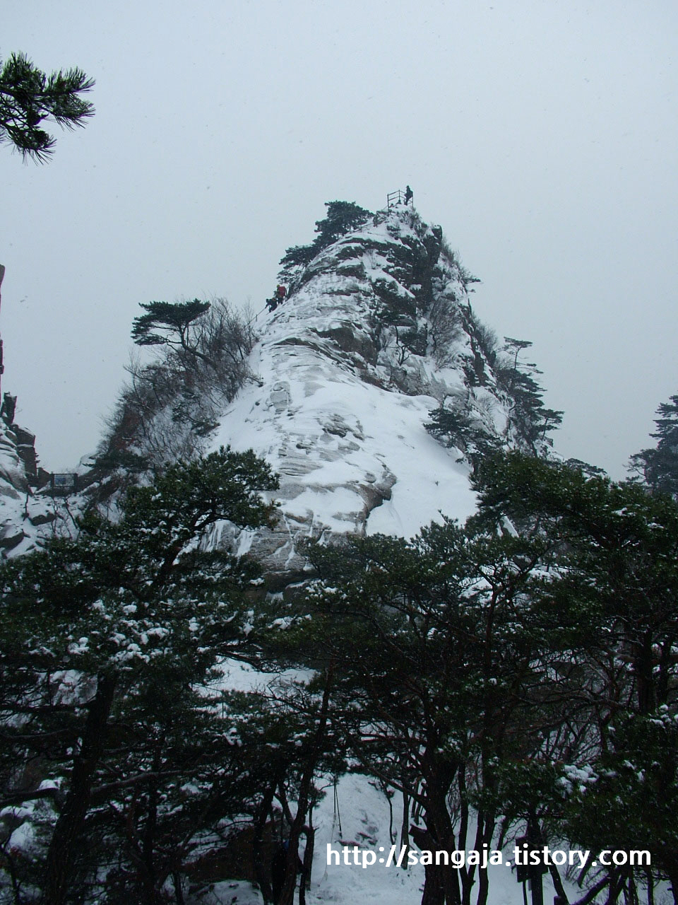 사용자 삽입 이미지