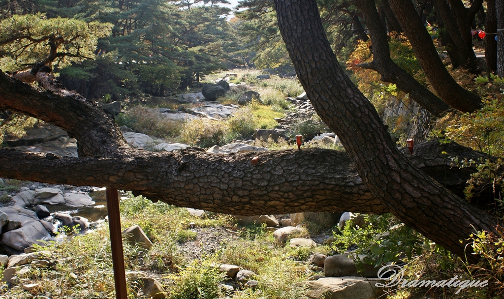 "영축산