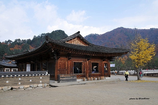 사용자 삽입 이미지