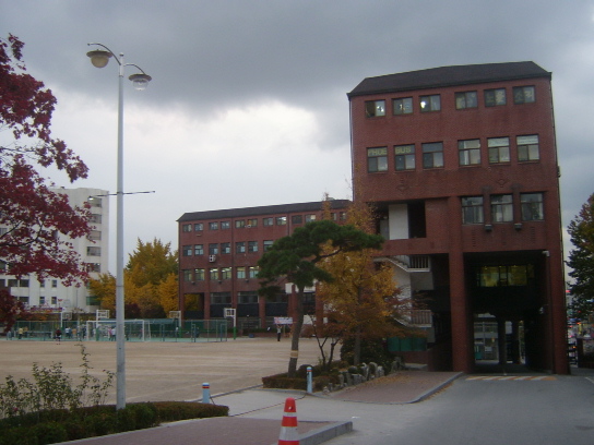 사용자 삽입 이미지