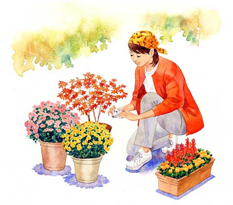 사용자 삽입 이미지
