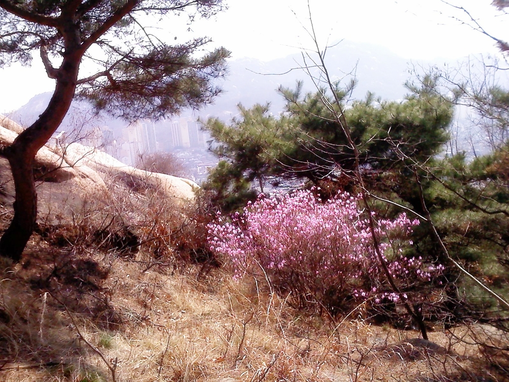 사용자 삽입 이미지