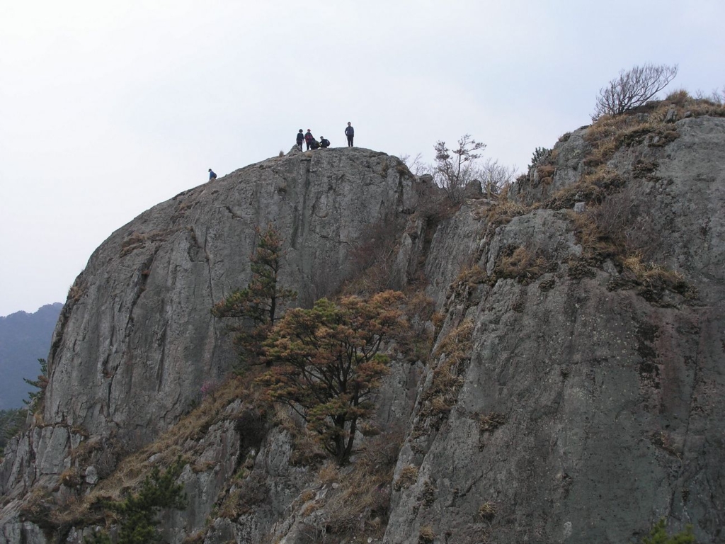 사용자 삽입 이미지