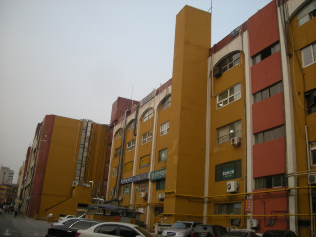 사용자 삽입 이미지