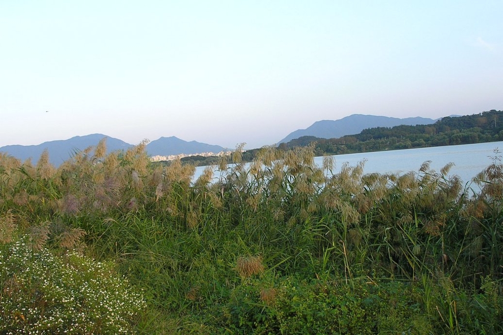 사용자 삽입 이미지