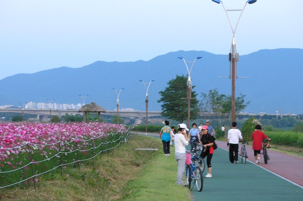 사용자 삽입 이미지