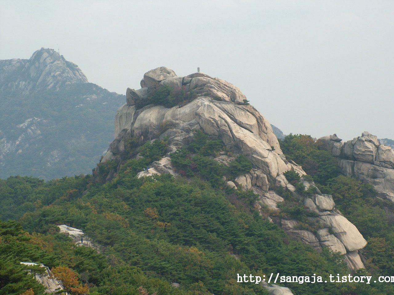 사용자 삽입 이미지