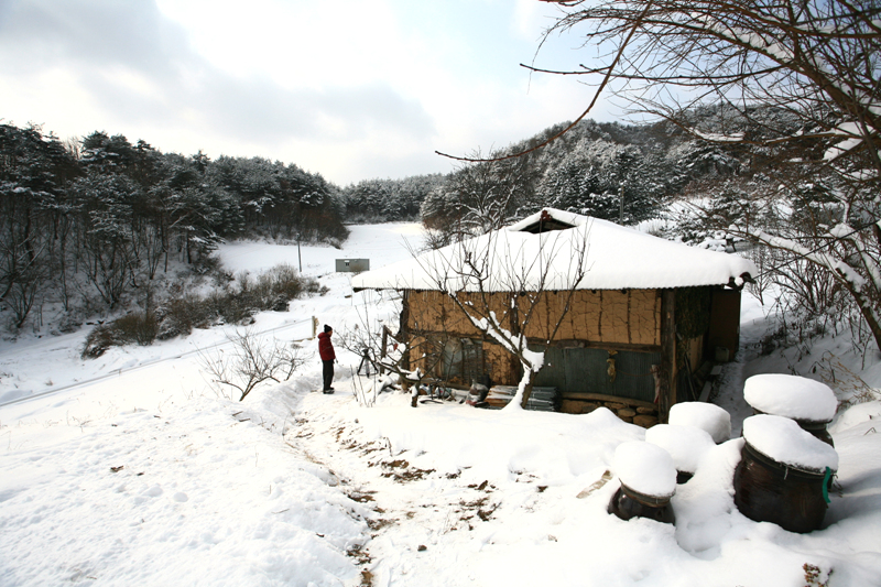 사용자 삽입 이미지