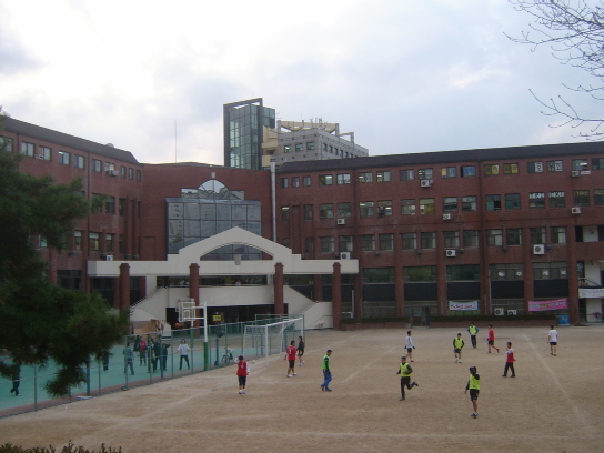 사용자 삽입 이미지