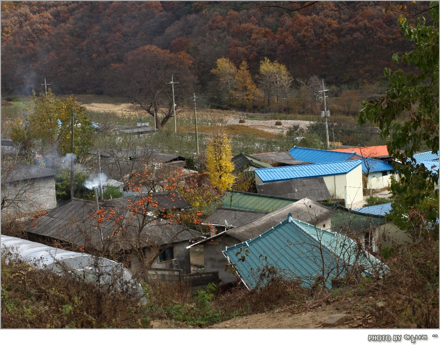 사용자 삽입 이미지