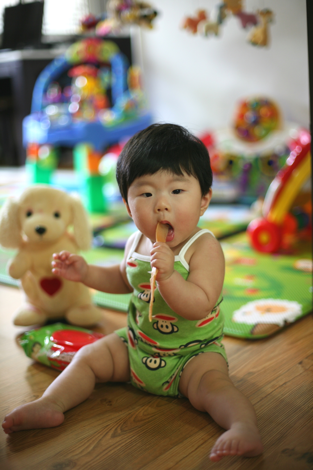 사용자 삽입 이미지
