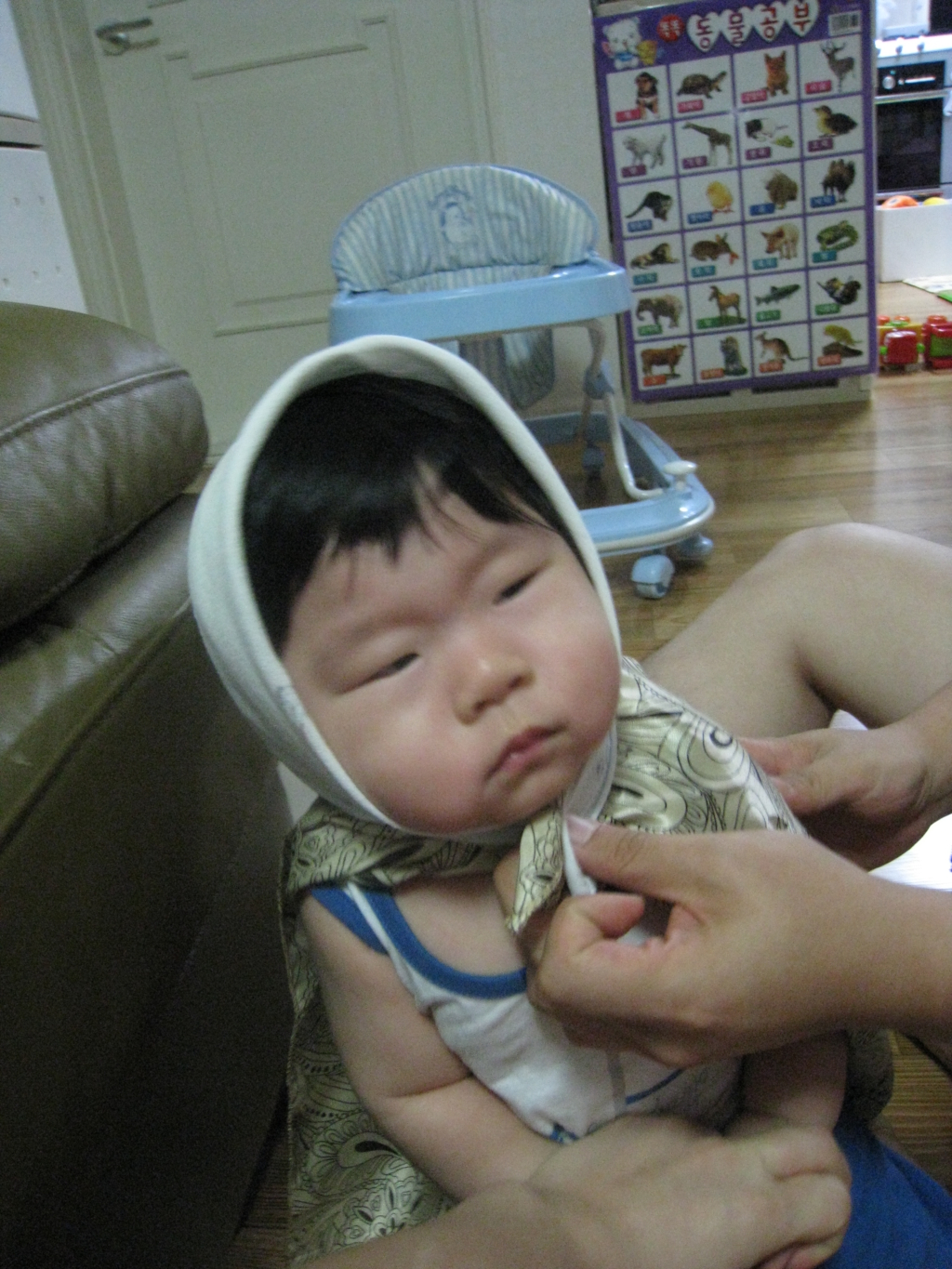 사용자 삽입 이미지