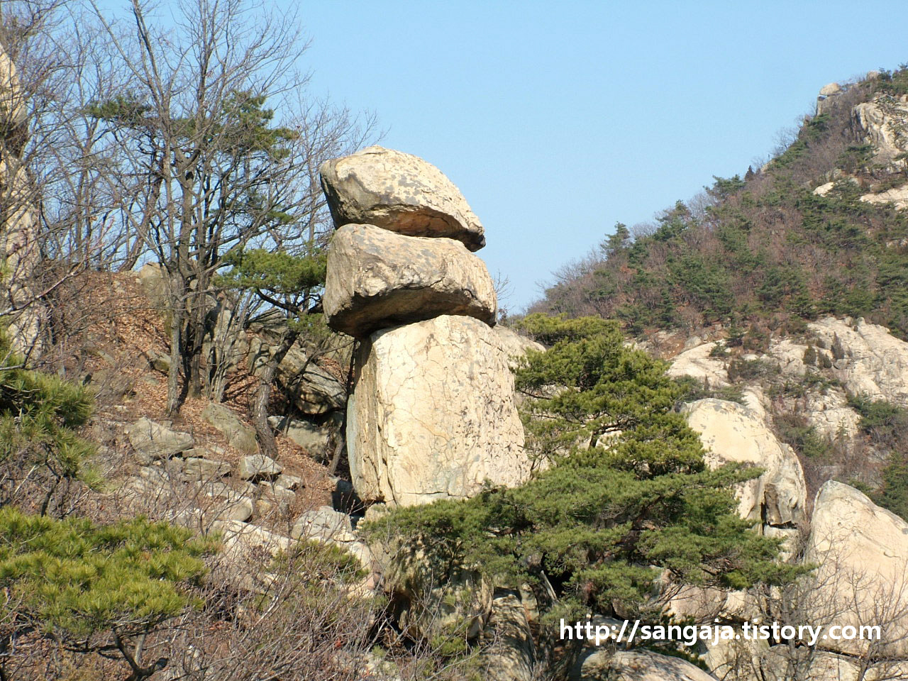 사용자 삽입 이미지