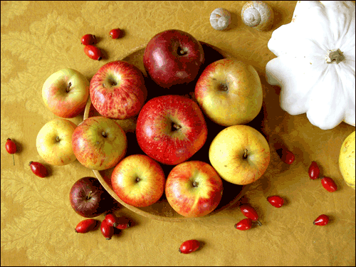    ▲ 비슷한 듯하면서도 모양도 빛깔도 다들 조금씩 다 다른 사과들. 2008 ⓒ 김미수