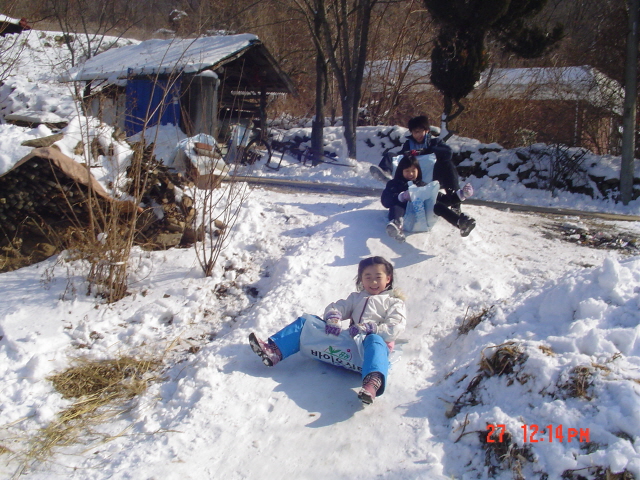 사용자 삽입 이미지