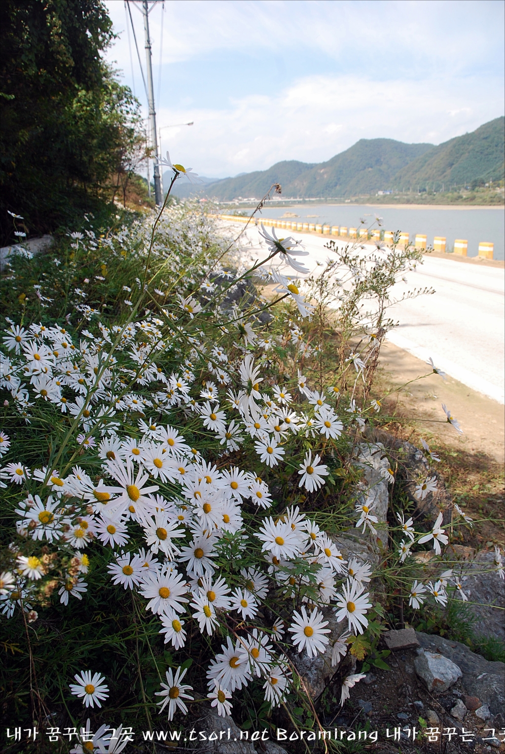 사용자 삽입 이미지