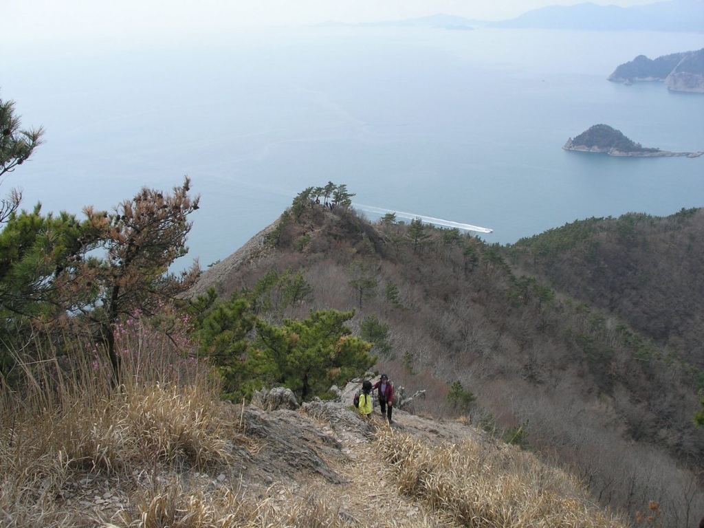 사용자 삽입 이미지