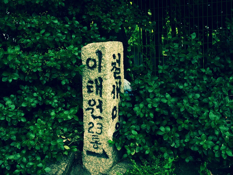 사용자 삽입 이미지