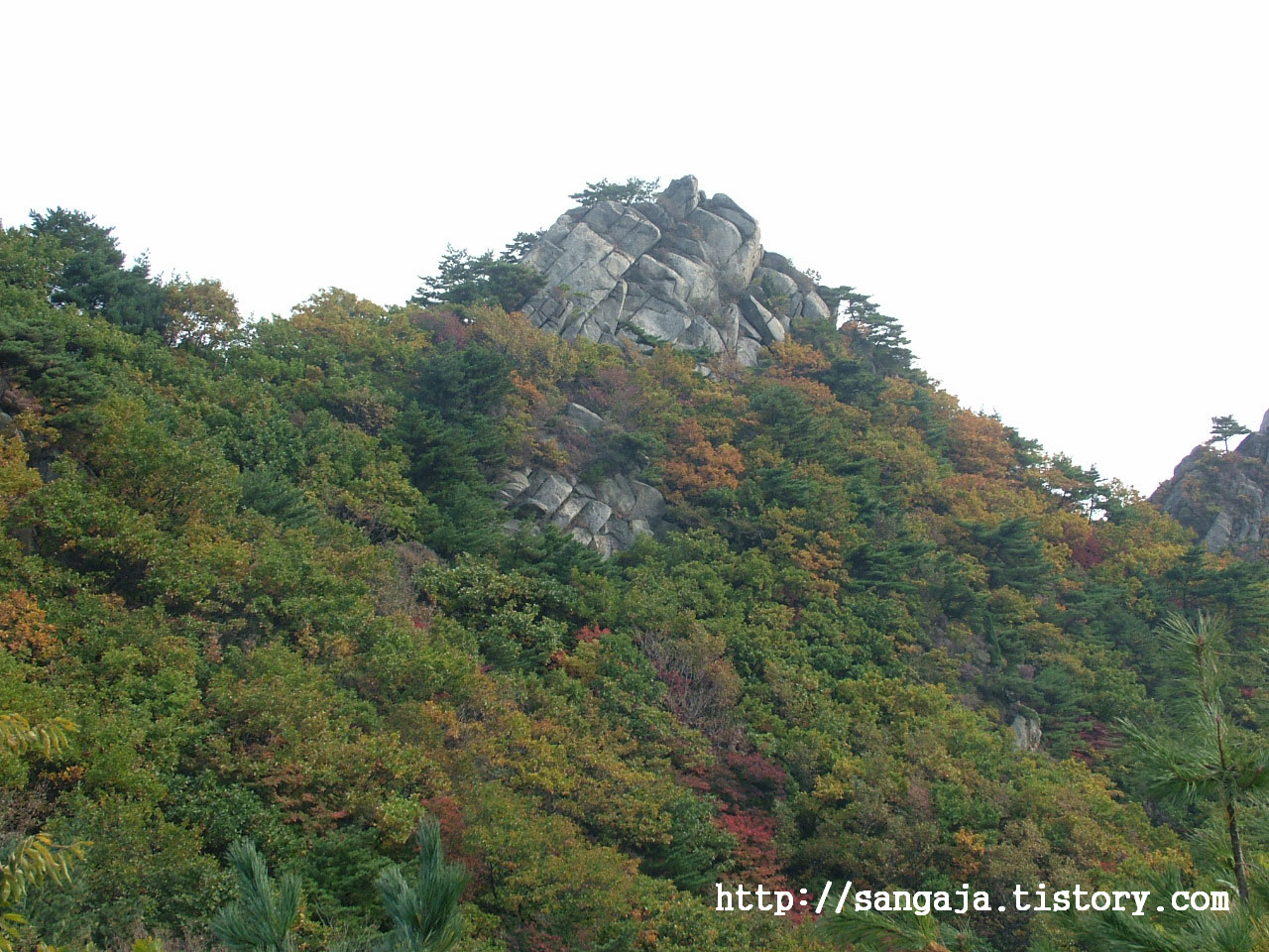 사용자 삽입 이미지