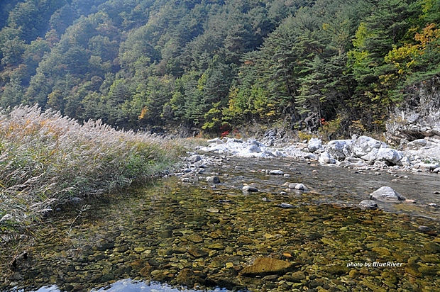 사용자 삽입 이미지
