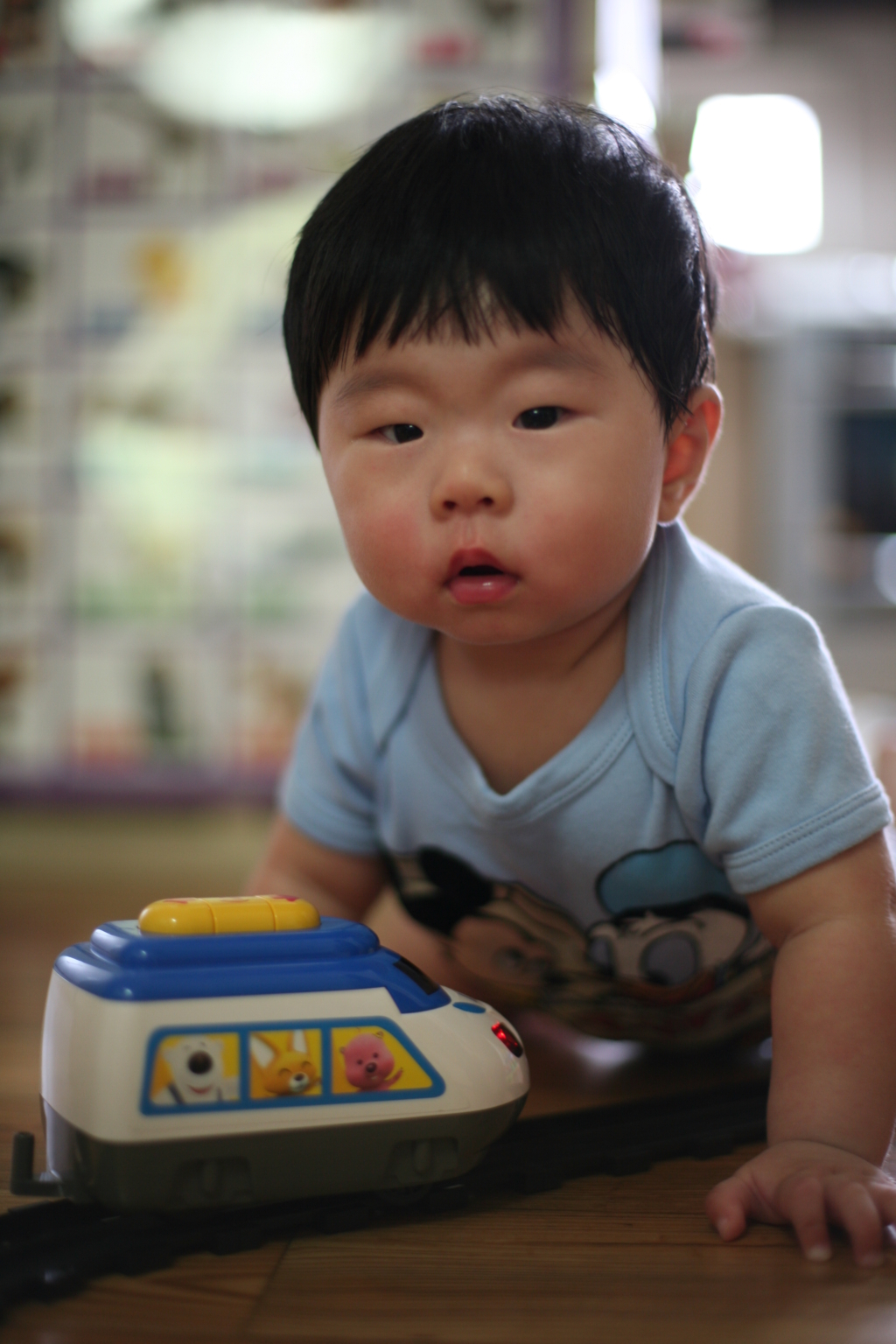 사용자 삽입 이미지