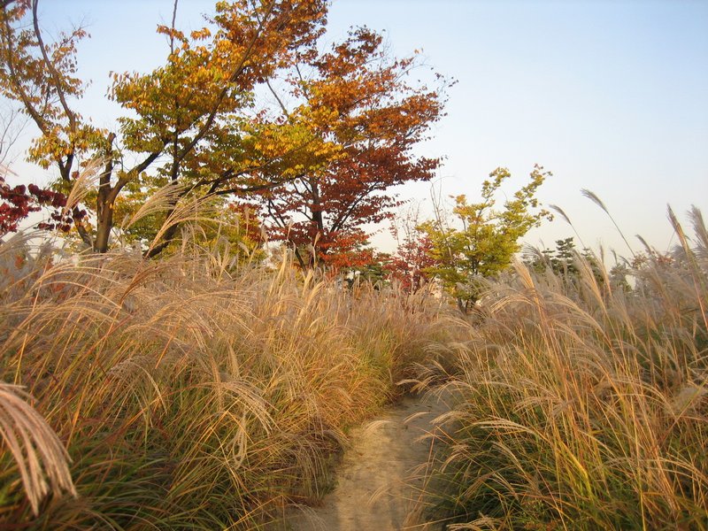 사용자 삽입 이미지