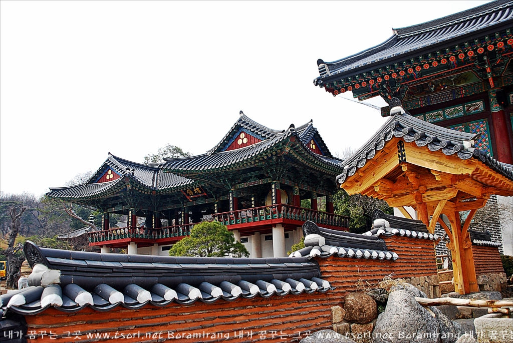 사용자 삽입 이미지