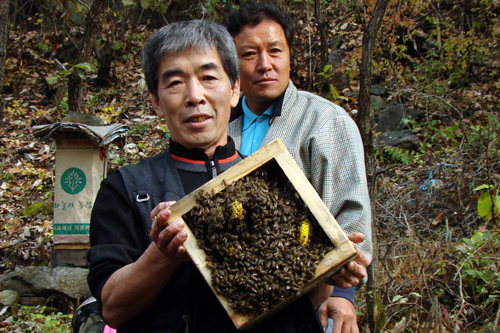 사용자 삽입 이미지