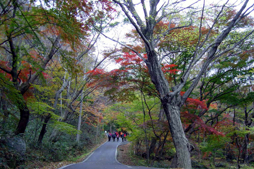 사용자 삽입 이미지
