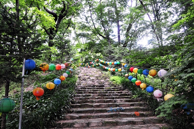 사용자 삽입 이미지