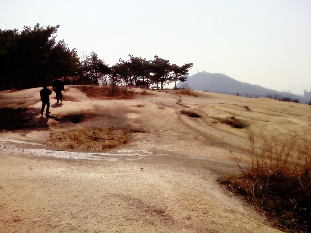 사용자 삽입 이미지