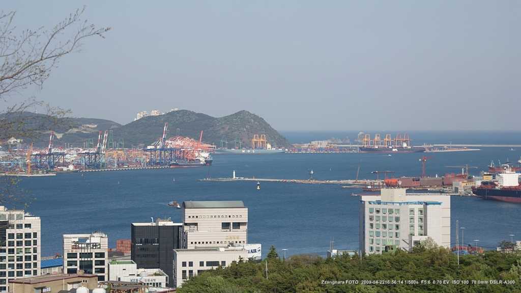 중앙공원에서 보는 부산항