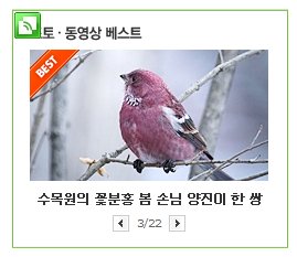 사용자 삽입 이미지