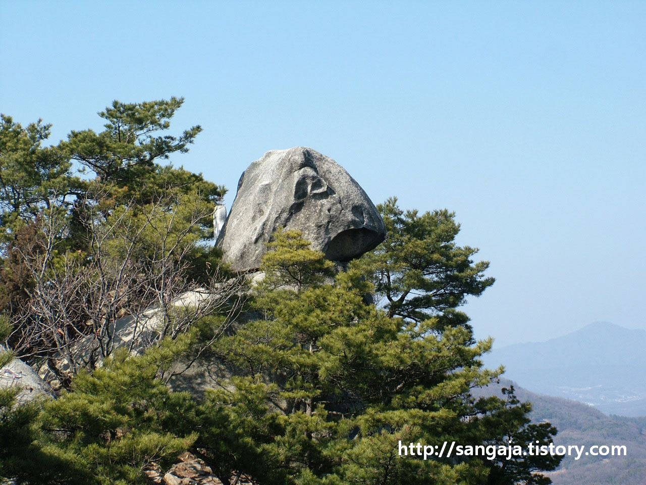 사용자 삽입 이미지