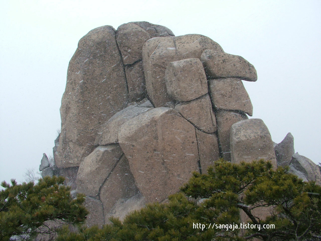 사용자 삽입 이미지