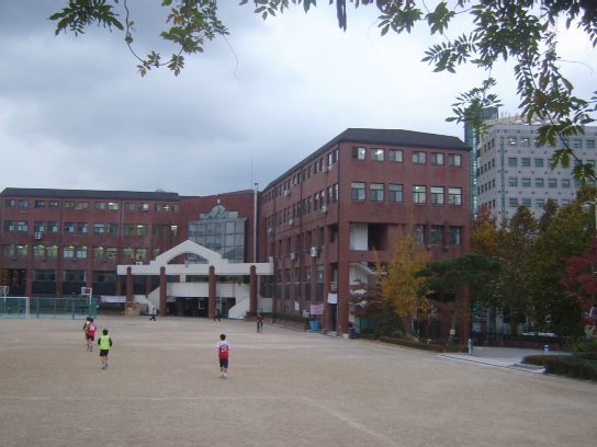 사용자 삽입 이미지